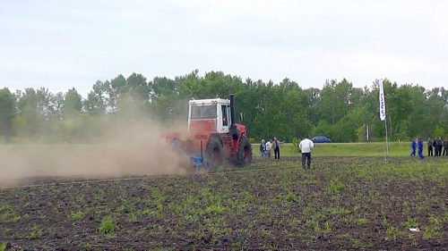 Демопоказ в Романово